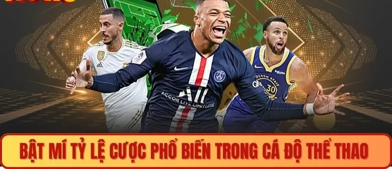 Bật mí tỷ lệ cược phổ biến trong cá độ thể thao