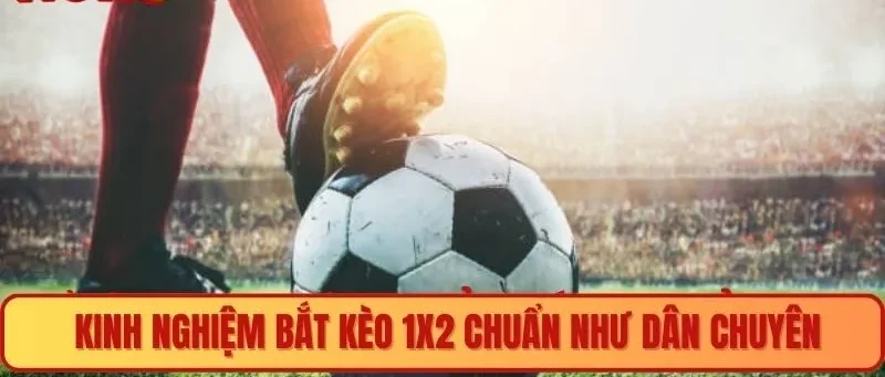 Kinh nghiệm bắt kèo 1×2 chuẩn như dân chuyên