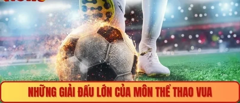 Những giải đấu lớn của môn thể thao Vua