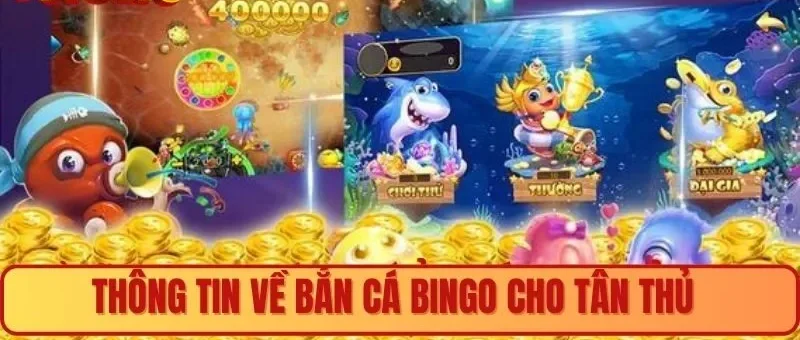 Thông tin về bắn cá bingo