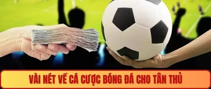 Vài nét về cá cược bóng đá cho tân thủ