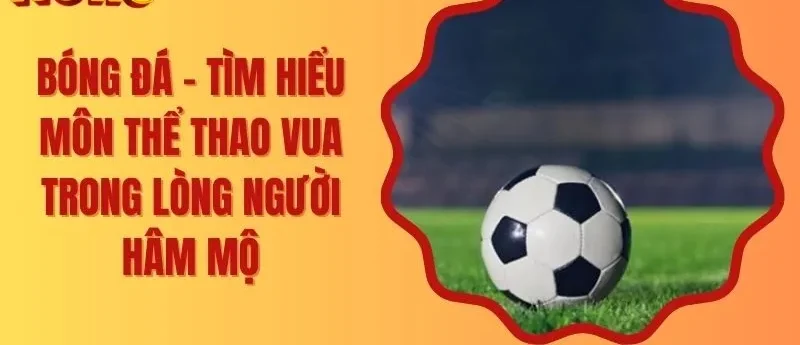 Bóng Đá – Tìm Hiểu Môn Thể Thao Vua Trong Lòng Người Hâm Mộ